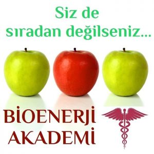 Bioenerji Eğitimi Kalitemiz